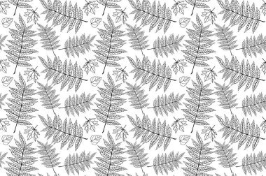 sonbahar desen levha sorunsuz. Eğrelti otunun yaprakları. Kumaş için desen. Eğrelti otu izi. Trend sonbahar deseni. Bez gömlek desen. vektör, eps 10