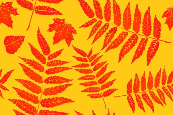 Vermelho e Laranja Folhas de Outono Amarelo. Plano de fundo outono padrão folha sem costura. Folhas da samambaia. Padrão para o tecido. Impressão da samambaia. Padrão de outono tendência. Padrão de camisa de pano. vetor, eps 10 — Vetor de Stock