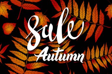 turuncu Sonbahar Satış Arka Plan, düşen yaprakları ile El Çizilmiş Sonbahar kaligrafi, Web Banner, alışveriş satış veya mevsimlik poster, Kartpostal ve Davet kartı. Vektör illüstrasyon, eps 10