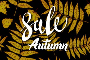 Sarı Sonbahar Satış Arkaplanı, Düşen yapraklı El Yazması Kaligrafi, Web Afişi, Alış veriş veya sezonluk poster, Kartpostal ve Davetiye Kartı. Vektör illüstrasyonuName