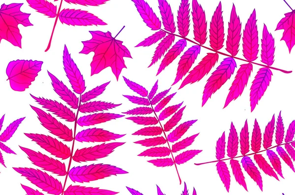 Красные осенние листья. Фоновый осенний рисунок на листе без печати. Шаблон для ткани. Отпечаток папоротника. Осенний узор. Рисунок одежды. Векторная иллюстрация, eps 10 — стоковый вектор