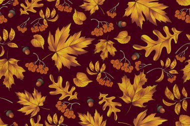 Yaprak arka plan ile Sonbahar dikişsiz desen. Doku. Sevimli fon sonbahar Renkli. Koyu gri. Moda baskılar için zarif şablon. Vektör illüstrasyon eps 10