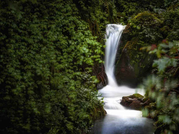 Beautiful Waterfall Forest Mountains — Stock Photo, Image