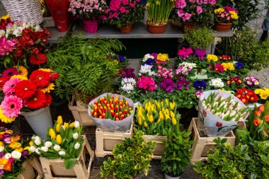 çiçek çiçek pazarında Satılık