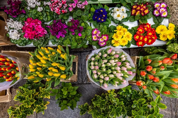 Flowers Sale Flower Market — Stock Photo, Image