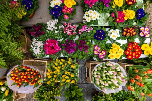 Flowers for sale at flower market