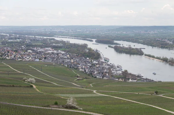 Rudesheim rhein Germany — Stockfoto