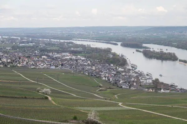 Rudesheim rhein Germany — 图库照片