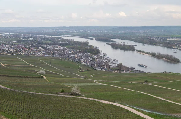 Rudesheim rhein Germany — 图库照片