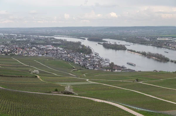 Rudesheim rhein Allemagne — Photo