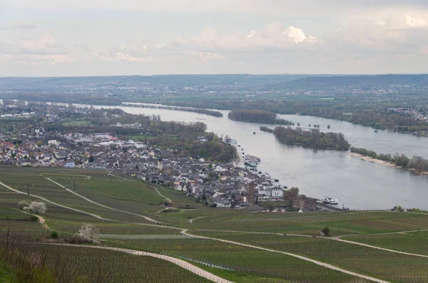 Rudesheim rhein Germany — ストック写真