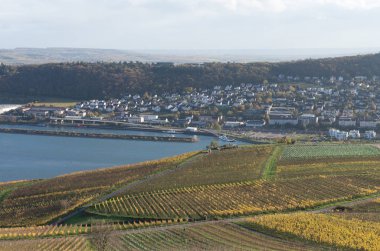 Rudesheim rhein Germany