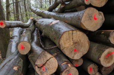 Sanayi doku günlükleri 