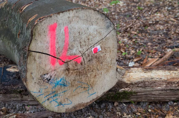 Indústria textura logs — Fotografia de Stock