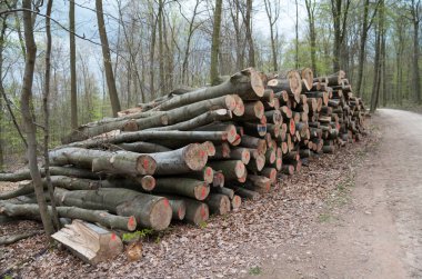 Sanayi doku günlükleri 