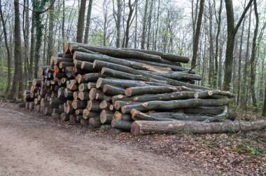 Sanayi doku günlükleri 