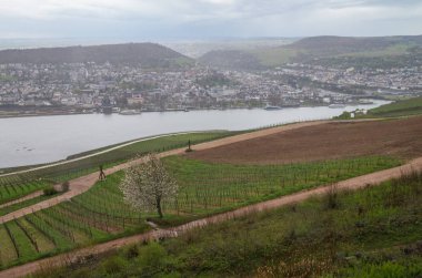 rudesheim rhein Germany