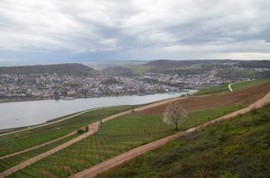 rudesheim rhein Germany