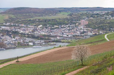 rudesheim rhein Germany