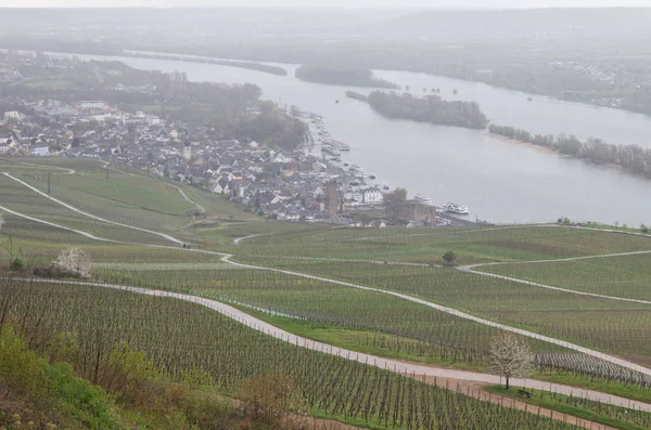 Rudesheim rhein Germany — ストック写真