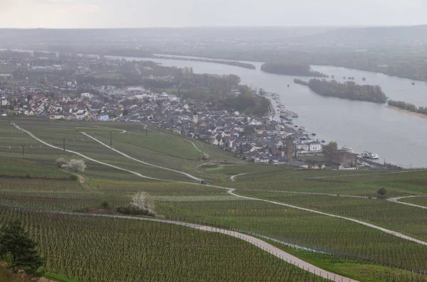 Rudesheim rhein Germany — Stock Photo, Image