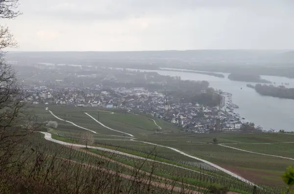 Rudesheim rhein Alemanha — Fotografia de Stock