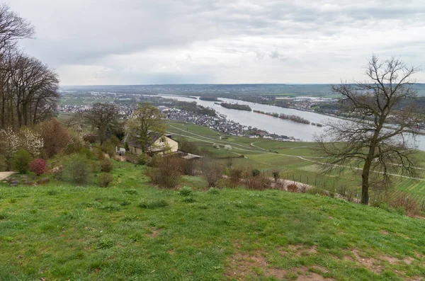 Rudesheim rhein Germany — Stock fotografie