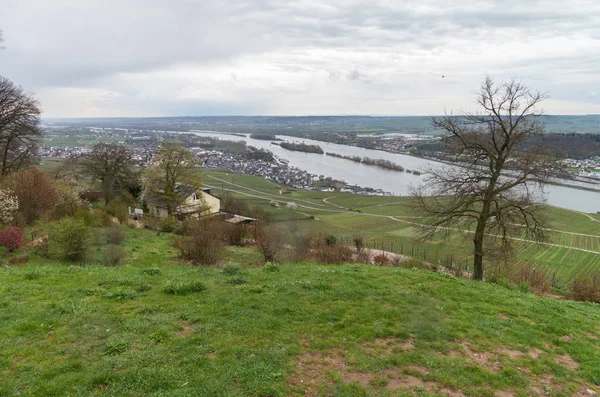 Rudesheim rhein Germany — Stockfoto