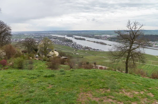 Rudesheim rhein Germany — Stockfoto