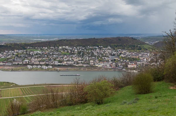 Rudesheim rhein Germany — Stock Fotó