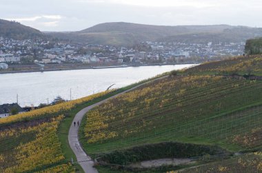Rudesheim rhein Germany