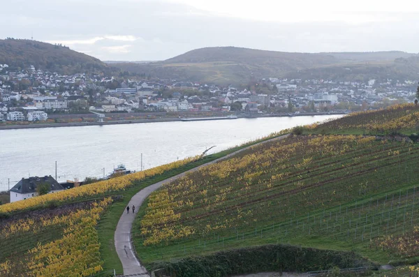 Rudesheim rhein Germany — Stockfoto