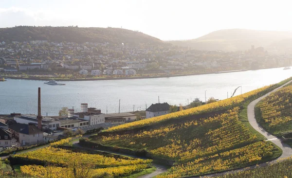 Rudesheim rhein Germany — Stockfoto