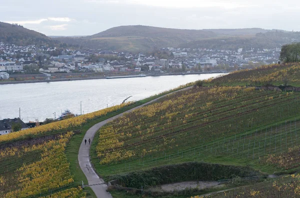 Rudesheim rhein Germany 图库图片