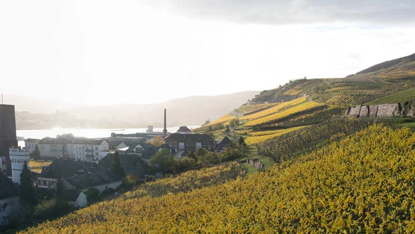 Rudesheim rhein Germany — Stockfoto