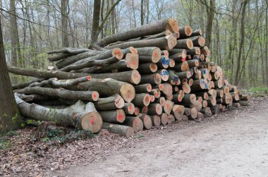 Sanayi doku günlükleri 