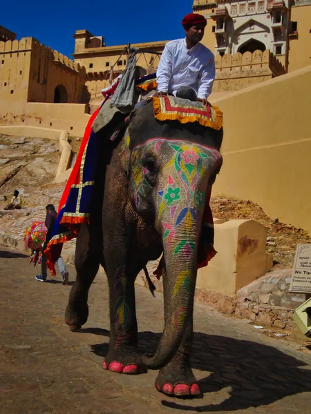 Jaipur, India-Circa 2020: Amber Palace 'da fil gezisi
