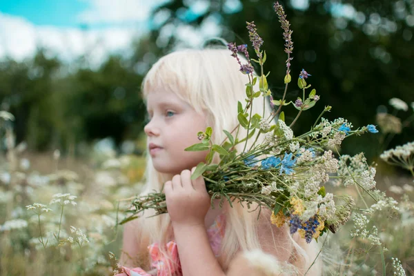 Mooi Klein Meisje Met Bloemen Het Veld Bloemen Handen Veldlandschappen — Stockfoto