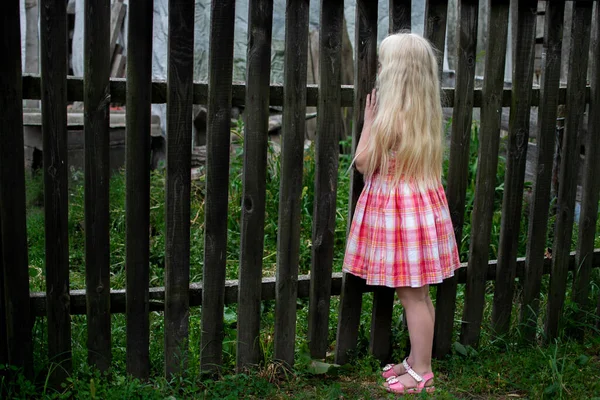 Маленькая Девочка Деревне Белые Волосы Розовое Платье Деревянный Забор Заднем — стоковое фото