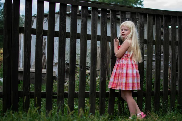 Liten Flicka Byn Vitt Hår Rosa Klänning Trä Staket Bakgrunden — Stockfoto