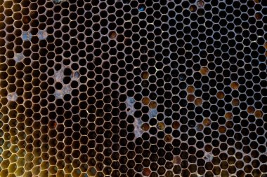 Bal peteği ile arı çerçevesi, bal mumu hücreleri