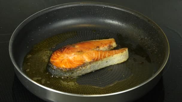 Cooking Salmon Steak Frying Pan Macro Shot — Stock Video