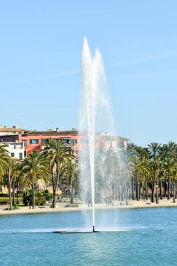Palma de Mallorca, Balearic Adaları 'ndaki Katedral' in önündeki çeşme.