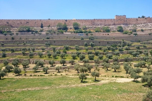 キドロン渓谷のテラスとエルサレムの旧市街の壁 イスラエル — ストック写真