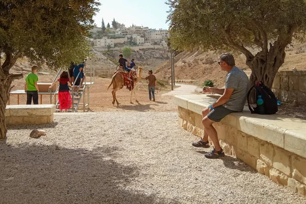 イスラエル エルサレム 2018年10月24日 ラクダに乗りたい人 — ストック写真