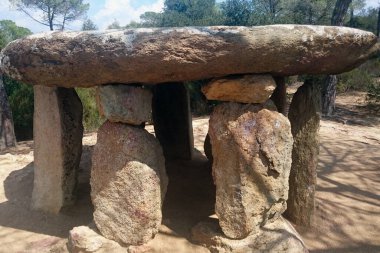 4000 yaşındaki Dolmen Pedra Gentil, İspanya 'nın Katalonya şehrinde sıradışı kökleri olan ağaçların arasında yer almaktadır.