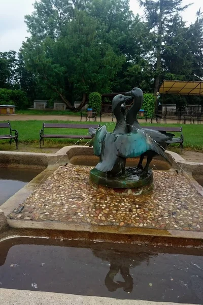 Hluboka Şatosu Hluboka Nad Vltavou Çek Cumhuriyeti — Stok fotoğraf