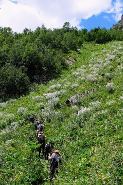 Arkhyz, Rusya - 21 Temmuz 2018: Bir grup turist Kafkasya dağlarındaki bir çayırdan yükseliyor