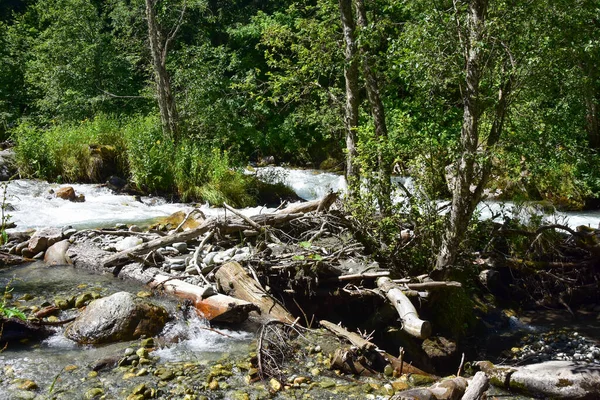 Μικρός Ποταμός Κατά Θερινή Περίοδο Ένα Πρωί Καύκασος Οροσειρά — Φωτογραφία Αρχείου