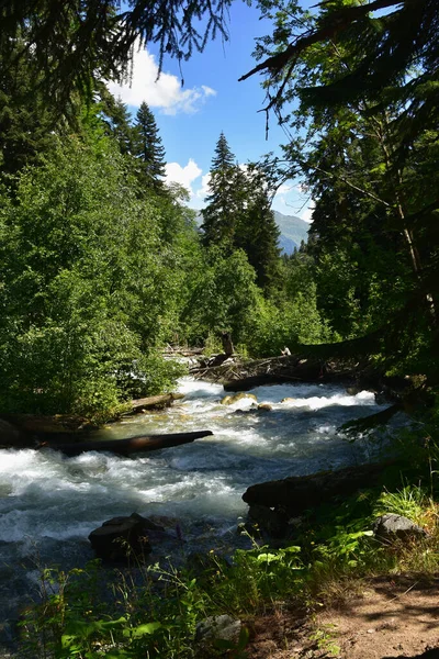 Kleiner Fluss Sommer Einem Morgen Kaukasus Gebirge — Stockfoto